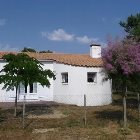 Maison Avec Jardin Clos, Pres De La Et De La Foret, Equipee Pour Famille Et Animaux Admis - Fr-1-194-281 La Faute-sur-Mer